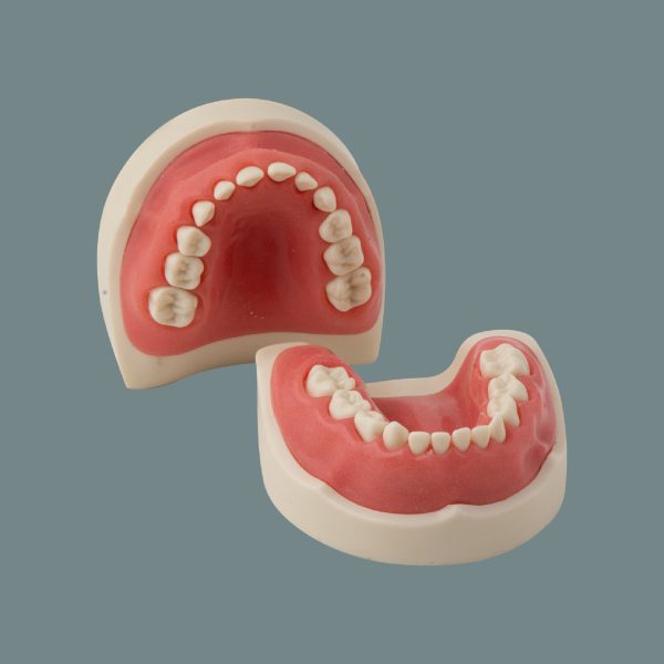 Pediatric Soft Tissue Training Arch (24Tooth)