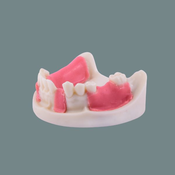 Surgery Training Arch With Soft Gum