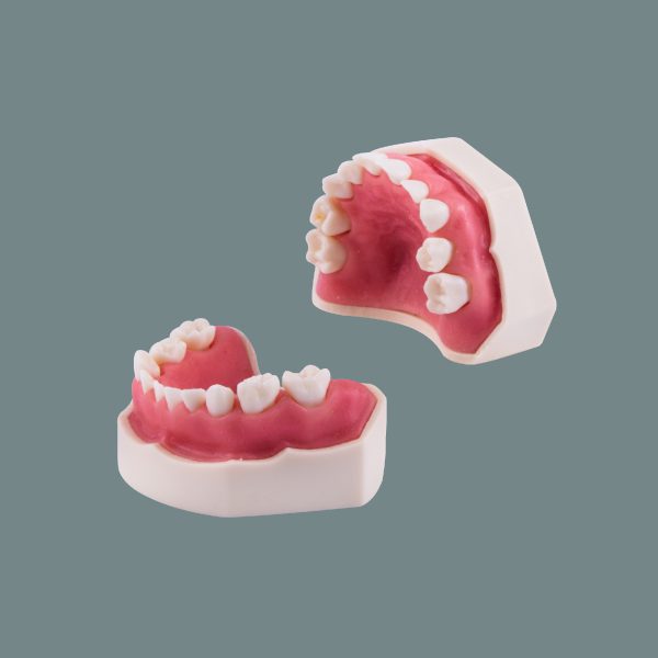 Pediatric Presentation Arch with Soft Gum and Rooty Teeth